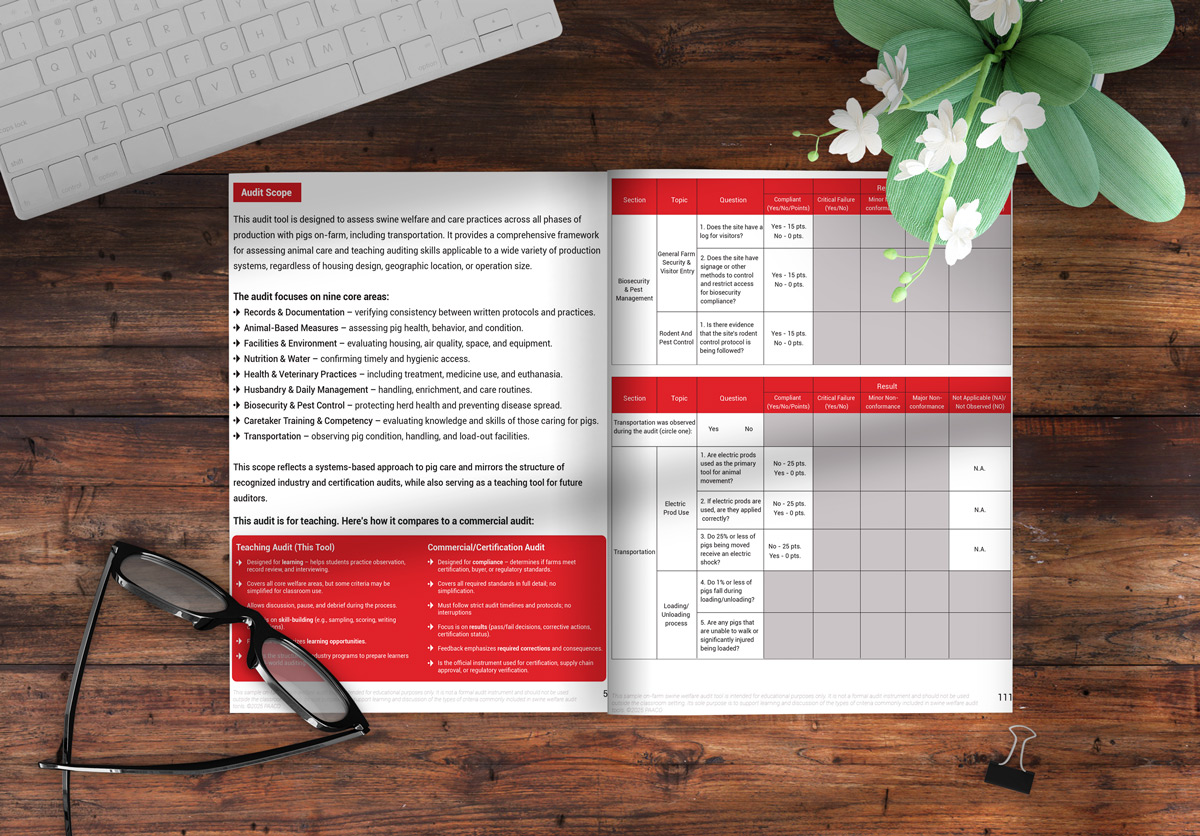 Book and eBook Designer in New York | Custom Graphic Design